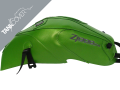 Z 1000 SX / Z 1000 SX TOURER , 2011 - 2019 2012 - 2019 pearly green for CANDY LIME GREEN or EMERALD BLAZED GREEN (A)
