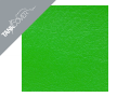 ZX   6 R , 1995 - 1997 1997 grün (G)