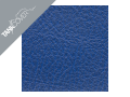 CBR  600 RR , 2005 / 2006 2006 blau (F)