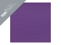 VX  800 , 1993 - 1997 1993 - 1997 violett (H)