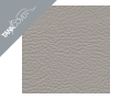 ZX  12 R , 2000 - 2006 2000 / 2001 buckskin grey (C)